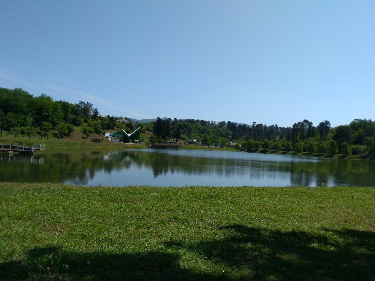 Гостевой дом Lake Side Цхалтубо Экстерьер фото